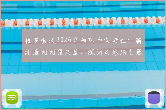 格罗索谈2026年两队冲突染红:解读裁判判罚尺度,探讨足球场上暴力行为的界定与处理